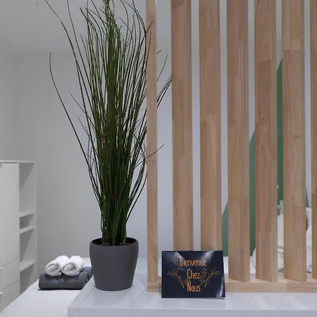 ※perrier Menthe※ Hyper-centre Et Tranquillite Apartment