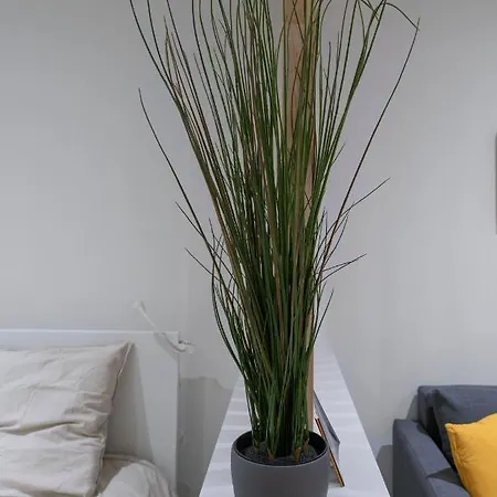 Apartment ※perrier Menthe※ Hyper-centre Et Tranquillite *