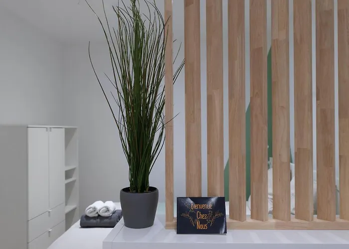 ※perrier Menthe※ Hyper-centre Et Tranquillite Lägenhet